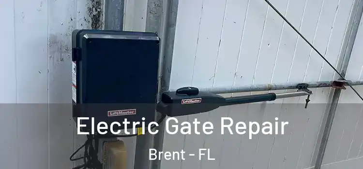 Electric Gate Repair Brent - FL